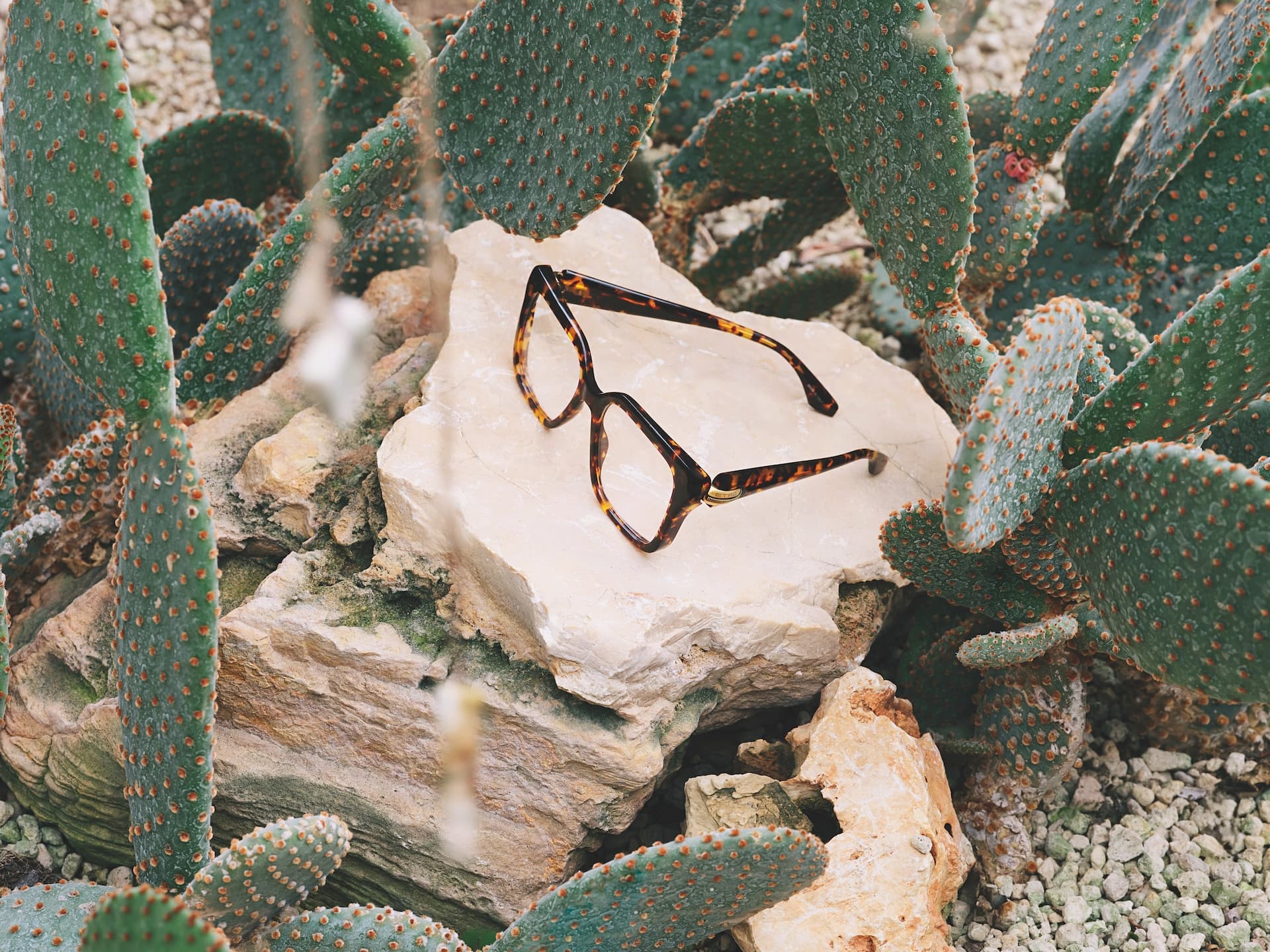 Starvision - Etro naočare