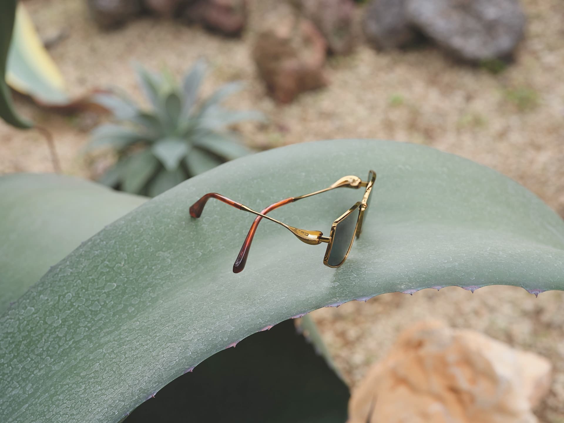 Starvision - Etro naočare